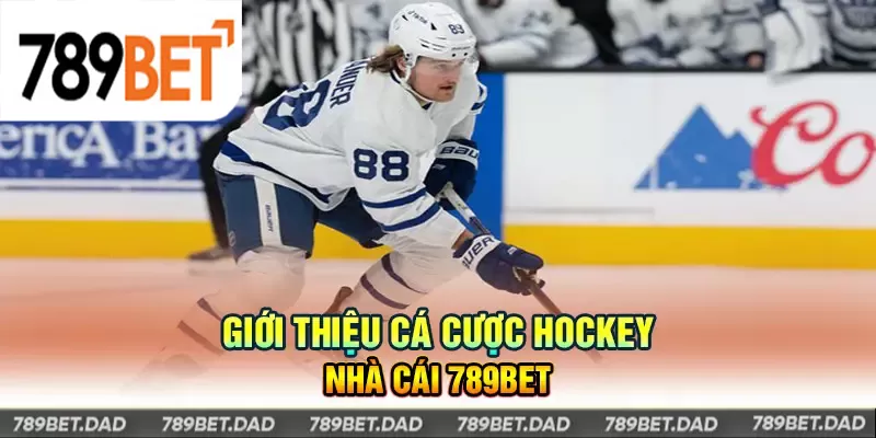 Cá cược hockey tại 789Bet