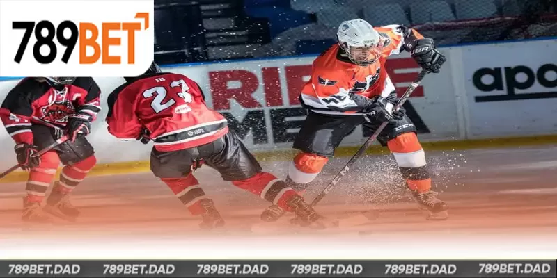 Cá cược Hockey có tỷ lệ trả thưởng cực cao, nằm top đầu tại nhà cái 789Bet