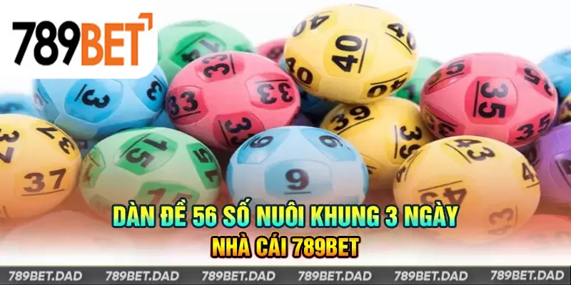 Nuôi dàn đề 56 con trong 3 ngày có thể nhận lãi khủng nhất