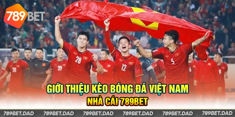 Kèo bóng đá Việt Nam tại 789bet